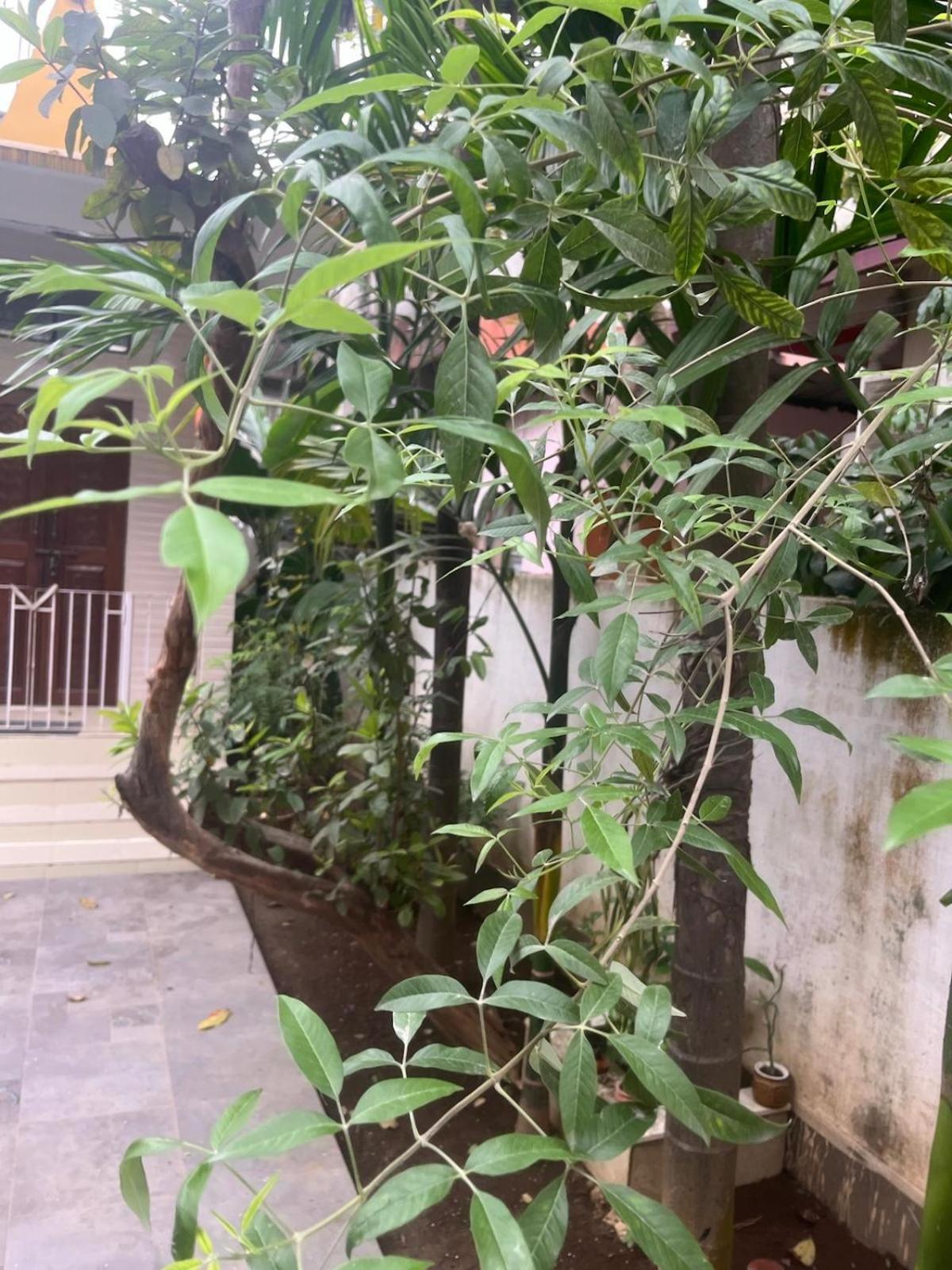 Amazing Homestay Guwahati Exterior foto